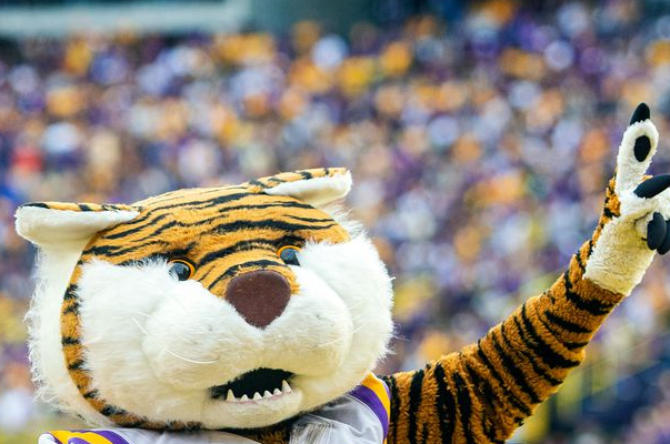 trimlight for game day